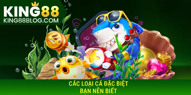 Các loại cá đặc biệt bạn nên biết