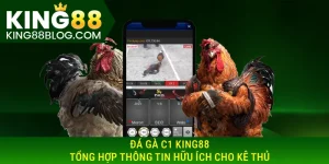 Đá gà C1 King88