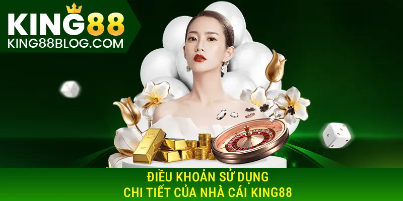 Điều khoản sử dụng