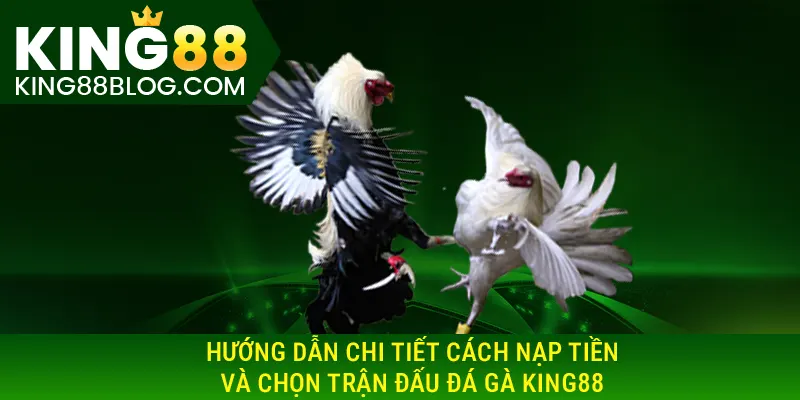 Hướng dẫn chi tiết cách nạp tiền và chọn trận đấu đá gà KING88