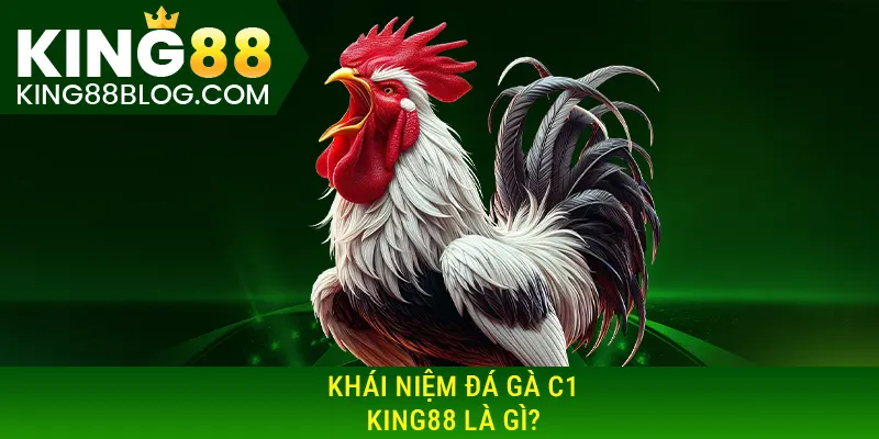 Khái niệm đá gà C1 KING88 là gì?