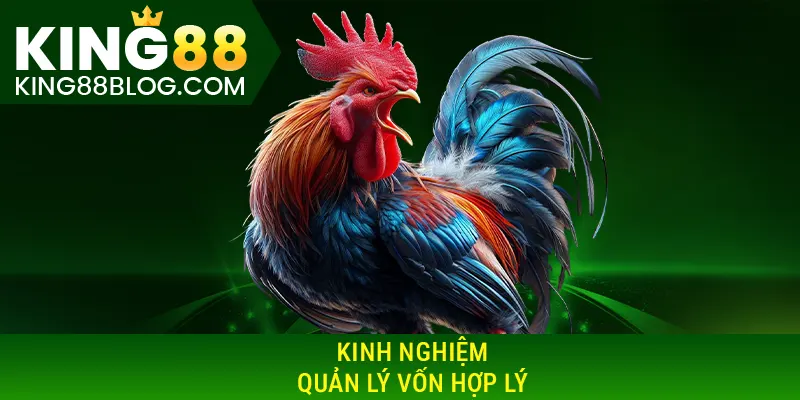 Kinh nghiệm quản lý vốn hợp lý