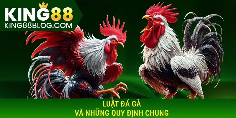 Luật đá gà miền Bắc và những quy định chung